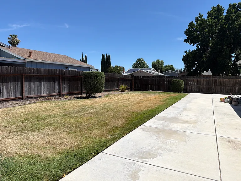 Backyard