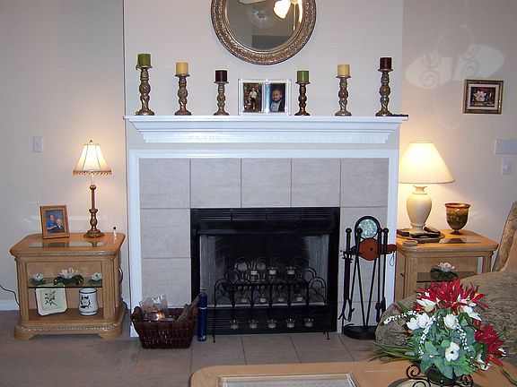 Wood burning fire place