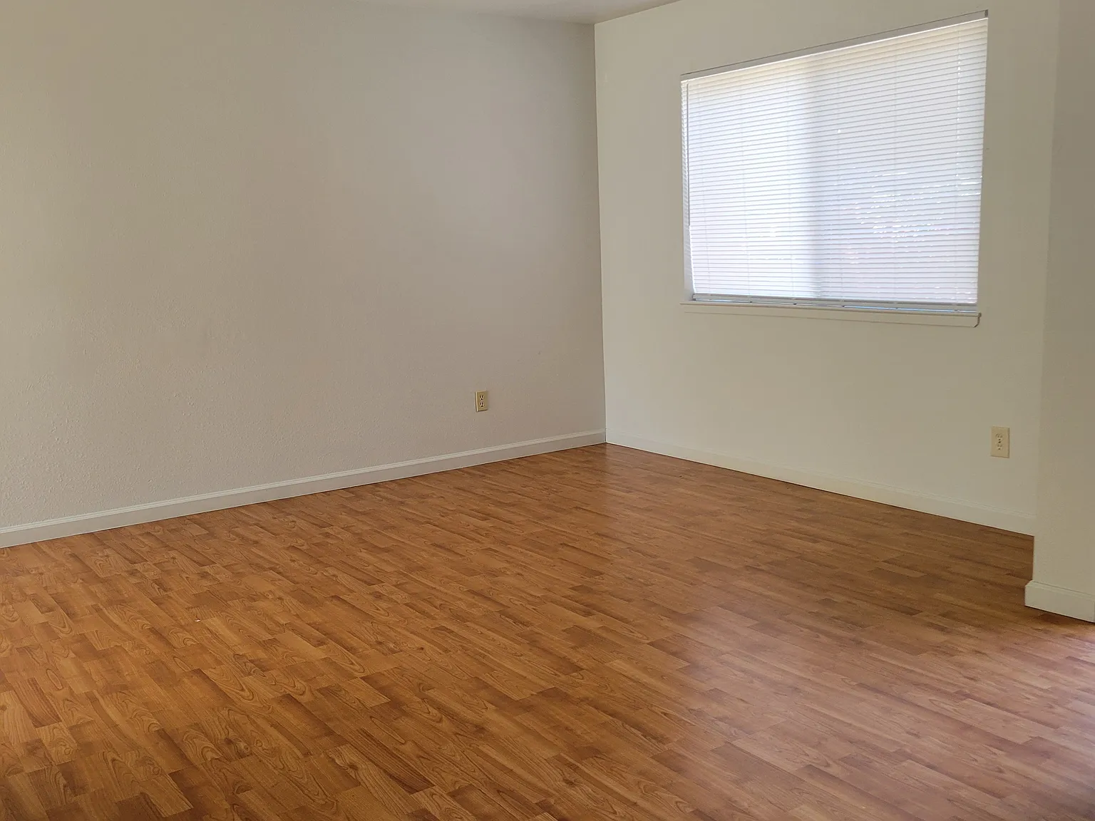 1166 Hobart St — Photo 3