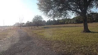 3 bed, 1824 sqft, $1,900 — Photo 3