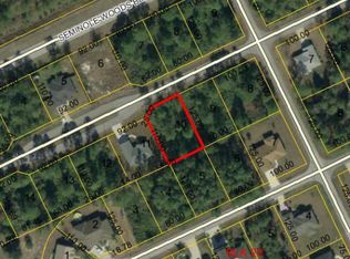 5 Slippery Rock Pl, Palm Coast, FL 32164