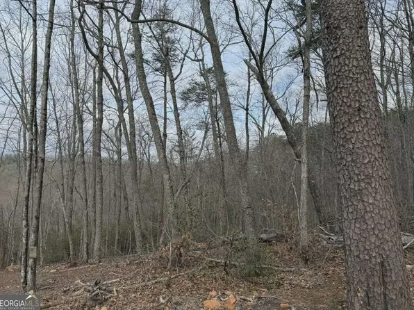 TRACT B2 Mountain St #2, Blue Ridge, GA 30513