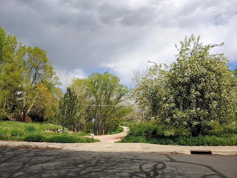 715 Gilpin Dr — Photo 18
