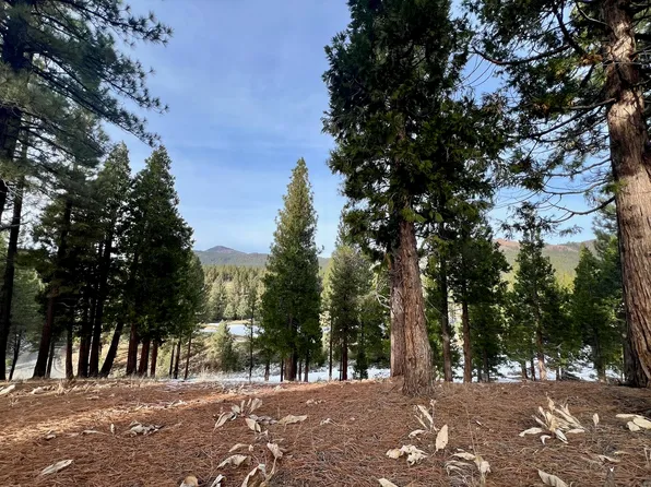 166 S Ridge Rd, Portola, CA 96122