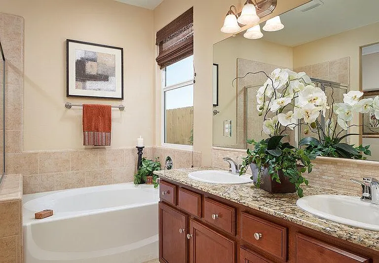 Model Home Image
