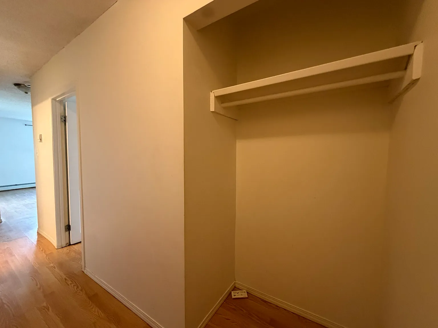 2 bed, 1.0 bath, 600 sqft, $1,200 — Photo 2
