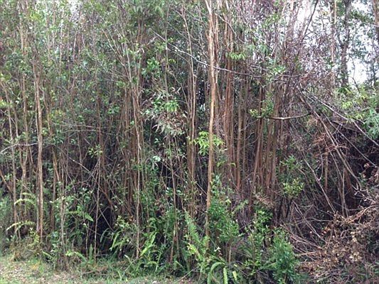 1st image of Kanahele Pl Lot 211