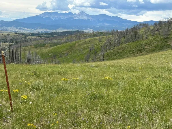 463 Forbes Wagon Creek Rnch, Fort Garland, CO 81133