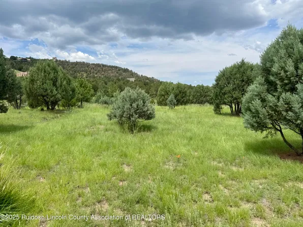 153 Deer Valley Dr, Alto, NM 88312
