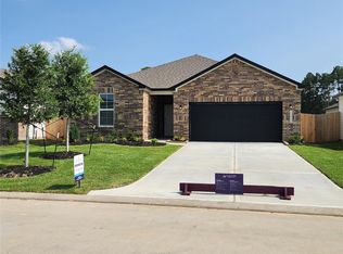 16866 Bristle Cone Way, Conroe, TX 77302