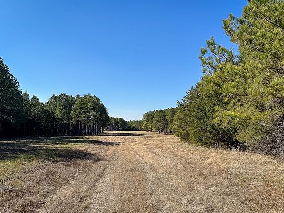 Compass South Land Sales South Carolina Sandy River West 04