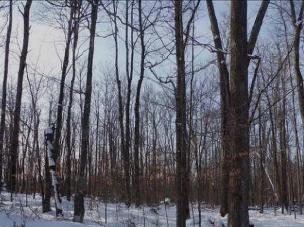 Lot 0 Mueller Avenue, Hayward, WI 54843