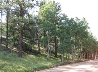 256 Bird Point Rd, Florissant, CO 80816