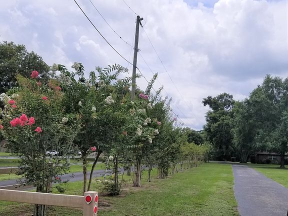 Lined w/ Crepe Myrtles