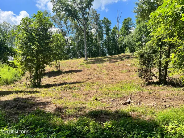 1 Arwine Rd, Decatur, TN 37322