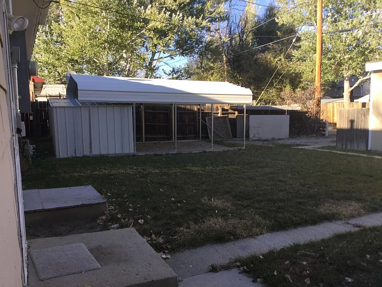Back yard