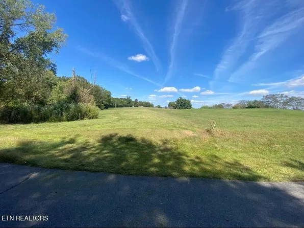 0 Mountain View Ln Lot 2100, White Pine, TN 37890