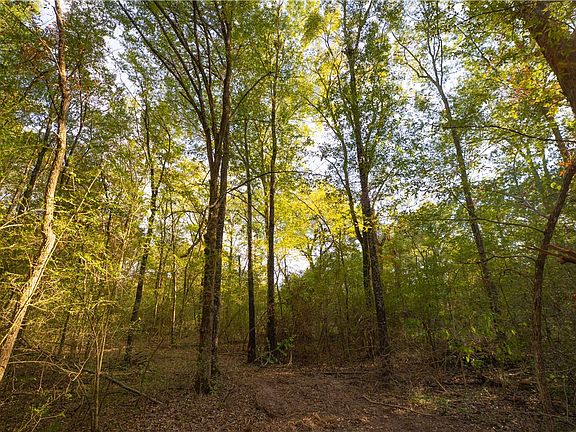 2nd image of 12424 Red Hill Rd Lot 18
