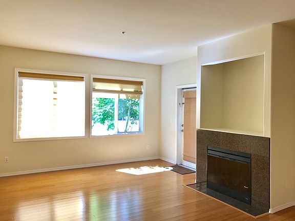 Living room with lots of light