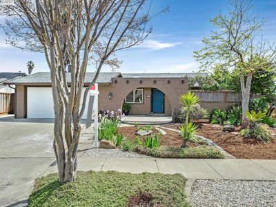 5854 Bellflower Dr, Newark, CA, 94560