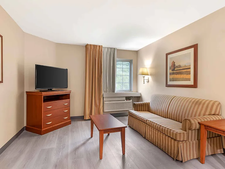 1 Bedroom Suite - 1 King Bed
