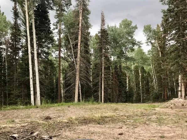273 Crest Drive, Cimarron, CO 81220