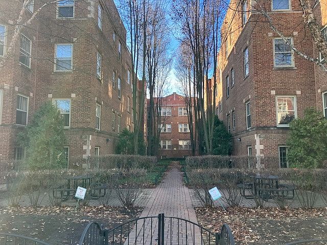1st image of 221 N Oak Park Ave APT 3W