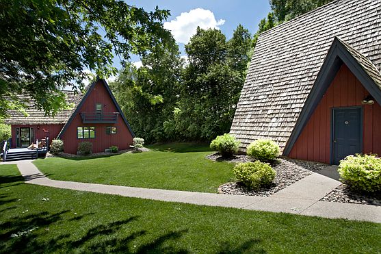 Beautiful lawn