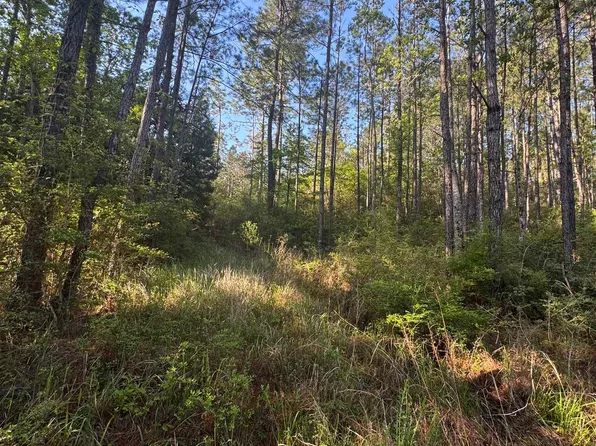 0 Blakeley Oaks Dr S, Daphne, AL 36527
