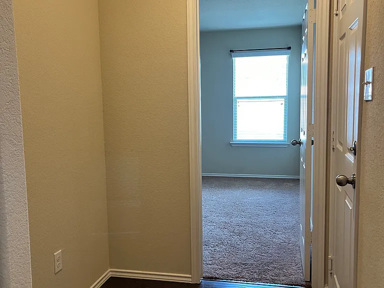 3009 Jackal Dr — Photo 28