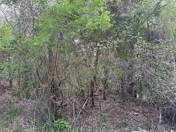 4th image of 305 Nene Ln