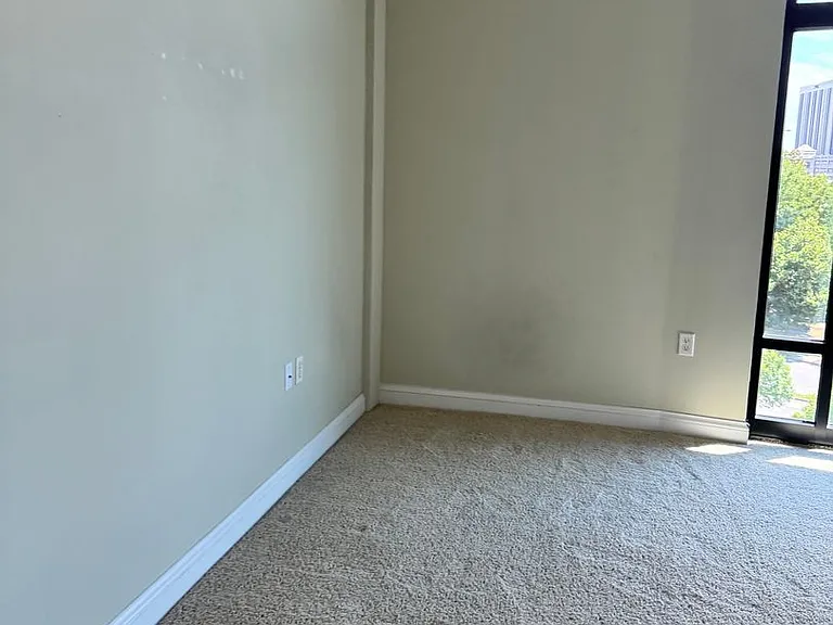 415 Saint Pauls Blvd #406 — Photo 4