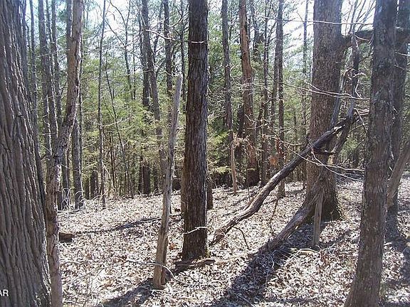 4th image of 4 Flat Creek Rd