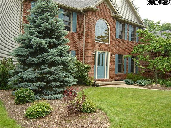 4th image of 8968 Cinnabar Dr