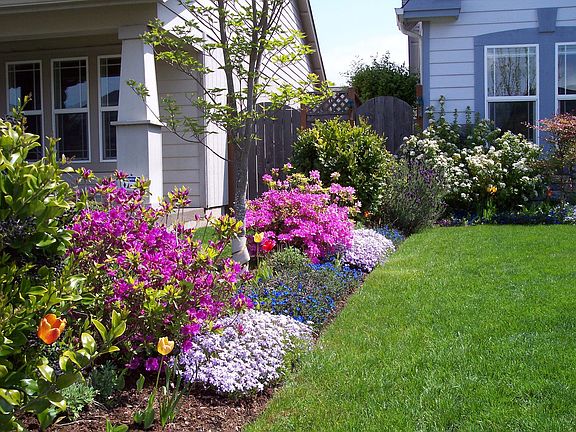 Flowers and auto sprinkling system