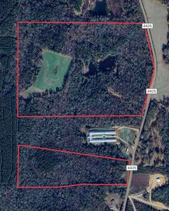 0 County Road 4425, Brundidge, AL, 36010