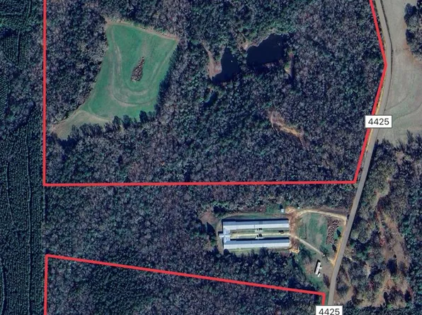 0 County Road 4425, Brundidge, AL 36010