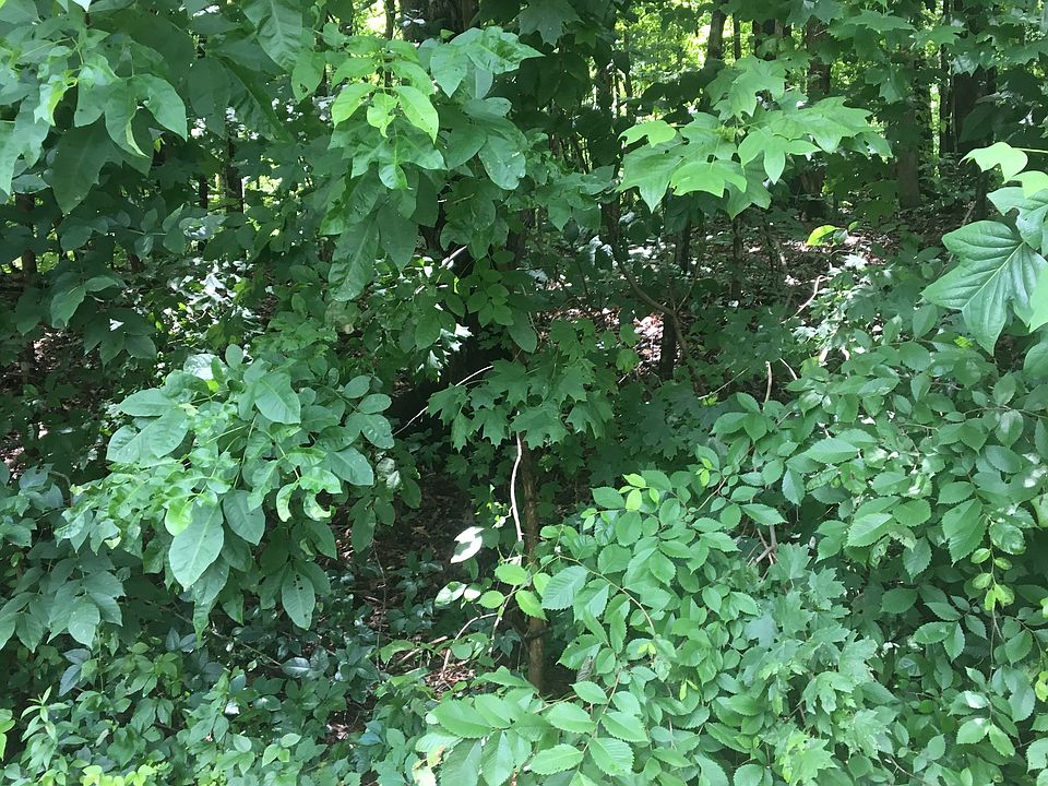 1st image of Meadowview Dr