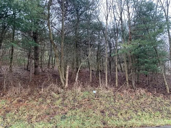 LOT 5 Ringertown Rd, Export, PA 15632