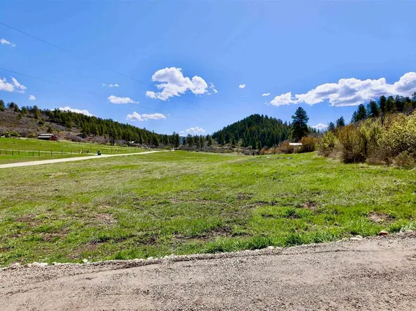 242 Pine Springs Drive, Bayfield, CO 81122