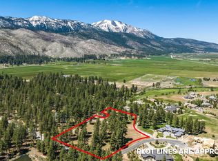 1 Pine Mesa Ct, Washoe Valley, NV 89704