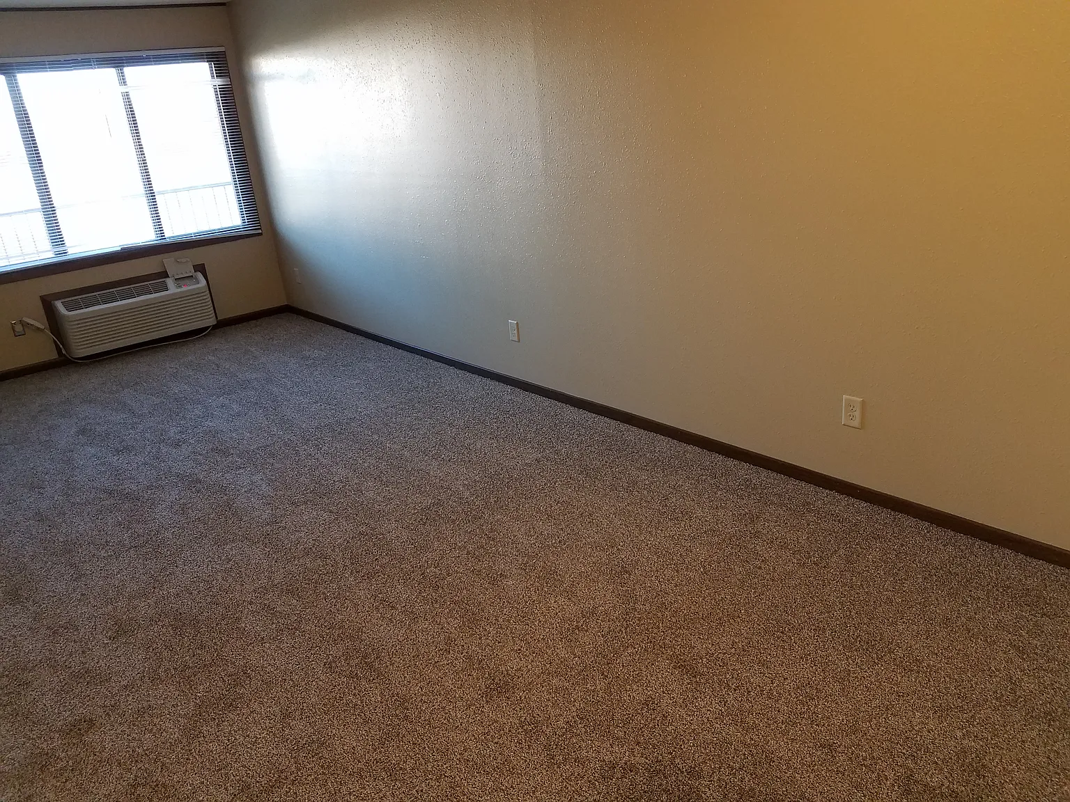Studio, $765 — Photo 3