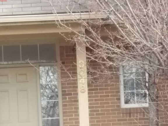 5th image of 3248 Paramount Ln