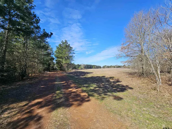 Tbd Caribou, Gilmer, TX 75644