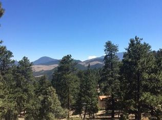 76 Magpie Ln, Bailey, CO 80421