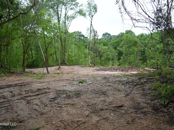 0 Old Port Gibson Rd, Hermanville, MS 39086