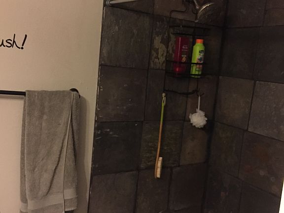 Main bath slate shower