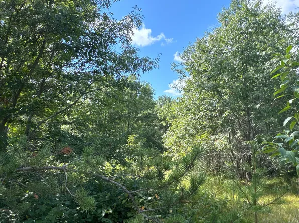 4 Hayden Lake Rd, Danbury, WI 54830