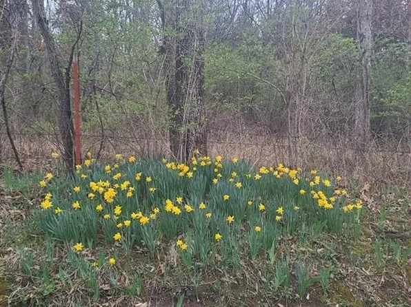 Margaret Dr, Lincoln, MO 65338