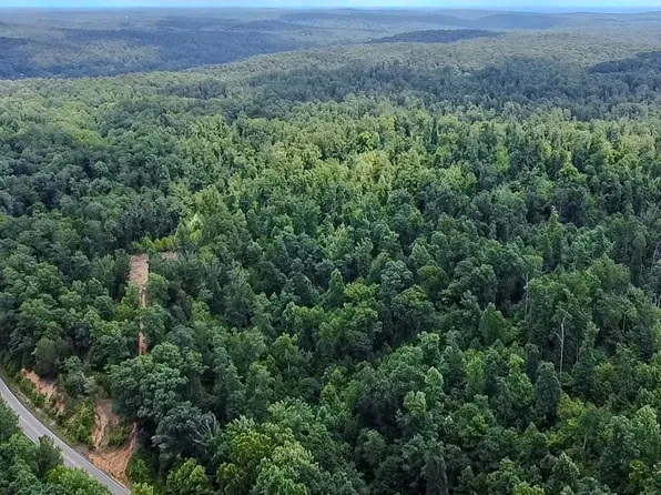 0 Buckfork Rd, Linden, TN 37096